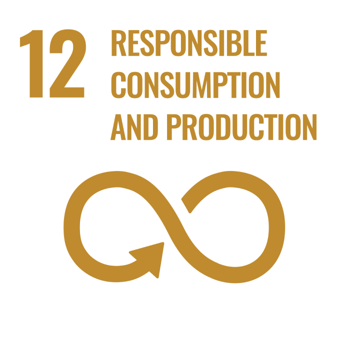 Responsible consumption and production